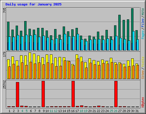 Daily usage for January 2025