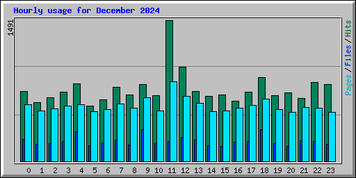 Hourly usage for December 2024