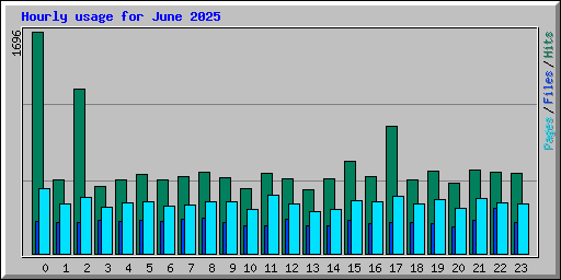 Hourly usage for June 2025