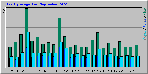 Hourly usage for September 2025